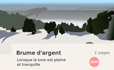 Sapins dans la brume