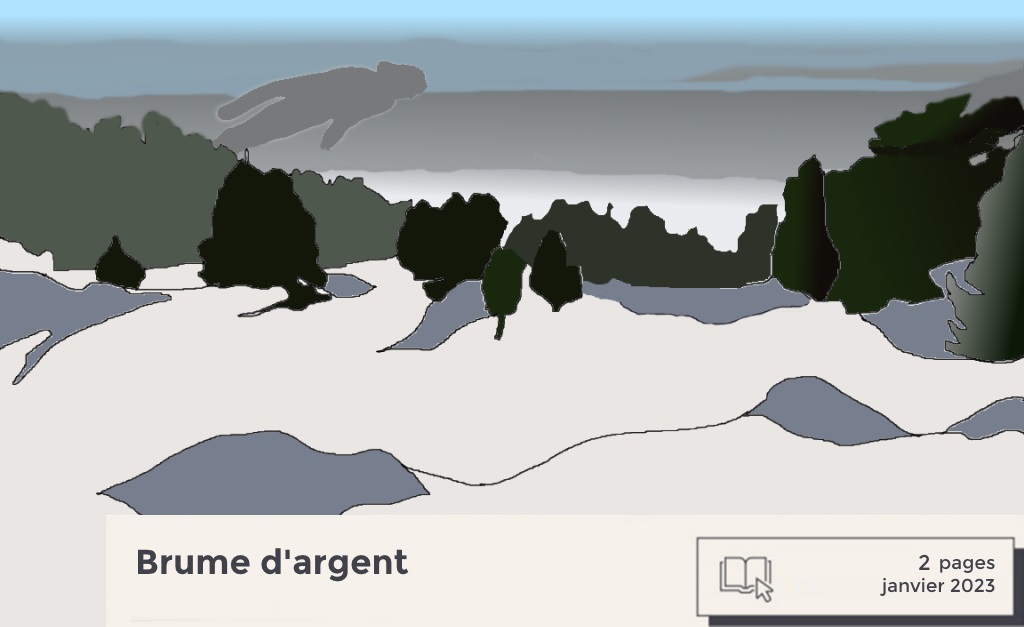 Sapins dans la brume