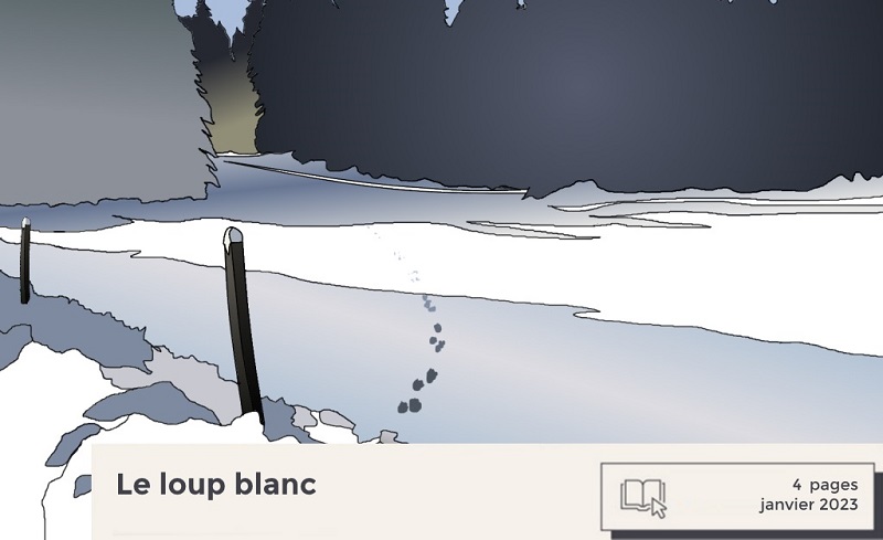 Empreintes sur la neige