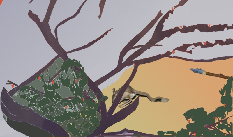 Vue depuis l'arrière